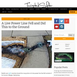 A Live Power Line Fell and Did This to the Ground » TwistedSifter