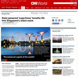 Solar-powered 'supertrees' breathe life into Singapore's urban oasis