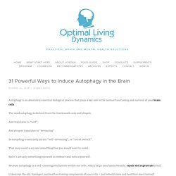 31 Powerful Ways to Induce Autophagy in the Brain — Optimal Living Dynamics