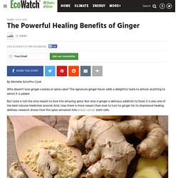 The Powerful Healing Benefits of Ginger - EcoWatch