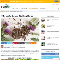 10 Powerful Cancer Fighting Herbs