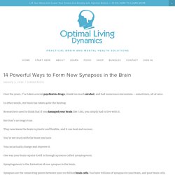 14 Powerful Ways to Form New Synapses in the Brain — Optimal Living Dynamics