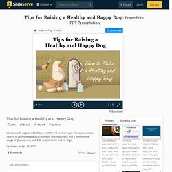Tips for Raising a Healthy and Happy Dog