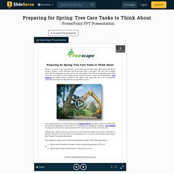 Preparing for Spring: Tree Care Tasks to Think About