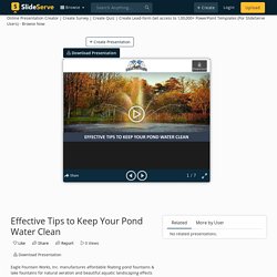 Effective Tips to Keep Your Pond Water Clean