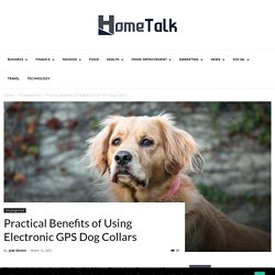 Practical Benefits of Using Electronic GPS Dog Collars