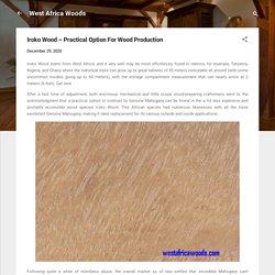 Iroko Wood – Practical Option For Wood Production