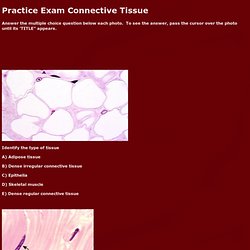 Practice Exam Connective Tissue