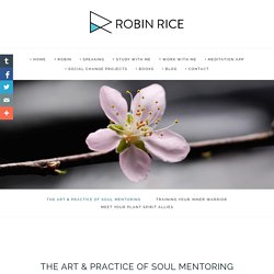 The Art & Practice Of Soul Mentoring — Robin Rice