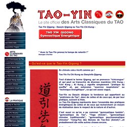 La Pratique - Tao Yin Qigong - Daoyin Qigong ou Tao Yin Chi Kung