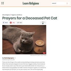 Prayers for a Deceased Pet Cat