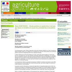 Maïs OGM NK630 : l’étude publiée en septembre n’est pas de nature à remettre en cause les précédentes évaluations