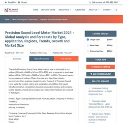 Precision Sound Level Meter Market - In-Depth Analysis by Size