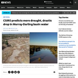 CSIRO predicts more drought, drastic drop in Murray-Darling basin water