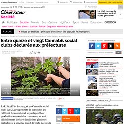 Entre quinze et vingt Cannabis social clubs déclarés aux préfectures