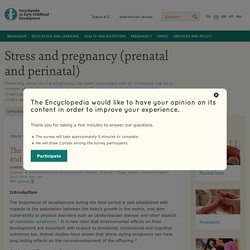 Stress and pregnancy: Effects on child behavioural and cognitive outcomes