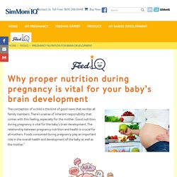 Why proper nutrition during pregnancy is vital for your baby’s brain development?