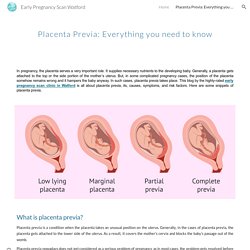 Early Pregnancy Scan Watford - Placenta Previa: Everything you need to know