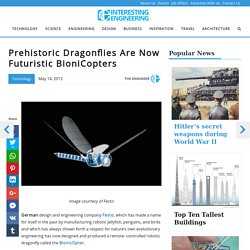 Prehistoric Dragonflies Are Now Futuristic BioniCopters
