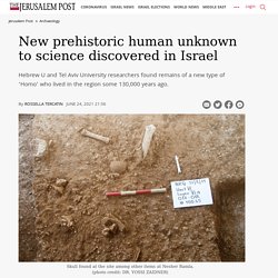 New prehistoric human unknown to science discovered in Israel