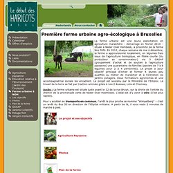 Première ferme urbaine agro-écologique à Bruxelles