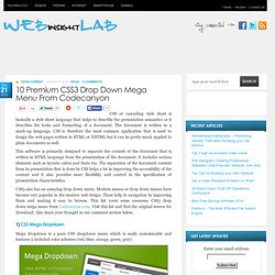 10 Premium CSS3 Drop Down Mega Menu From Codecanyon
