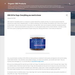 CBD Oil for Dogs: Everything you need to know