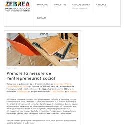 Prendre la mesure de l'entrepreneuriat social