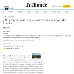 Francis Hallé - Le Monde - Août 2020 - « Ne prenons plus les plantations d’arbres pour des forêts »