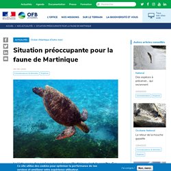 Situation préoccupante pour la faune de Martinique