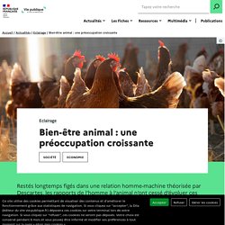 Bien-être animal : une préoccupation croissante