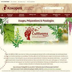Usages, Préparations & Posologies - Le blog de Kokopelli