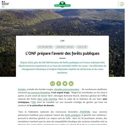 L’ONF prépare l’avenir des forêts publiques