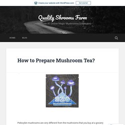 How to Prepare Mushroom Tea?