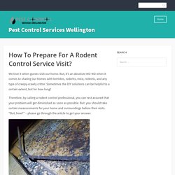 How To Prepare For A Rodent Control Service Visit?