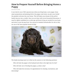 How to Prepare Yourself Before Bringing Home a Puppy