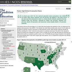 The Condition of Education - Preprimary, Elementary, and Secondary Education - High School Completion - Public High School Graduation Rates - Indicator May (2020)