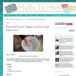 Preschool Science: Pepper and Dish Soap Experiment