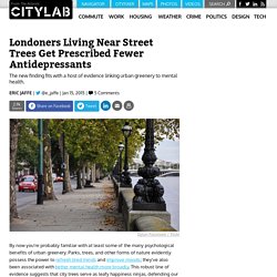 Londoners Living Near Street Trees Get Prescribed Fewer Antidepressants