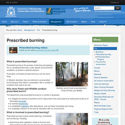 Prescribed burning - Parks and Wildlife Service