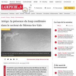 Ariège: la présence du loup confirmée dans le secteur de Mérens-les-Vals