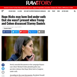 Hope Hicks may have lied under oath that she wasn’t present when Trump and Cohen discussed Stormy Daniels – Raw Story