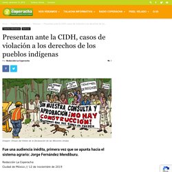 Presentan ante la CIDH, casos de violación a los derechos de los pueblos indígenas · Talacha informativa