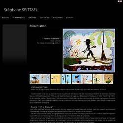 Stéphane SPITTAEL - Présentation, biographie