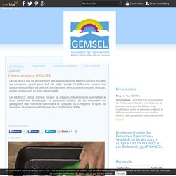 Présentation du GEMSEL - Le blog GEMSEL