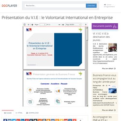 ⭐Présentation du V.I.E : le Volontariat International en Entreprise