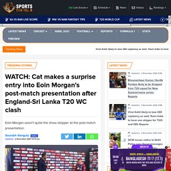 Cat makes a surprise entry into Eoin Morgan's post-match presentation after England-Sri Lanka T20 WC clash