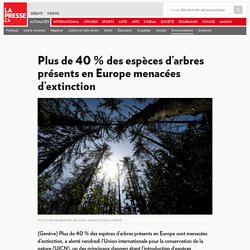 Plus de 40 % des espèces d’arbres présents en Europe menacées d’extinction
