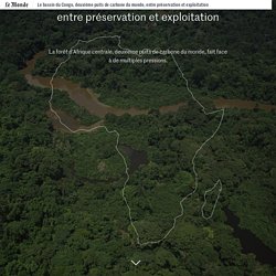 Le bassin du Congo, deuxième puits de carbone du monde, entre préservation et exploitation