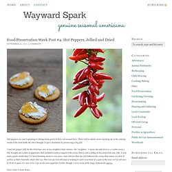 Food Preservation Week Post #4: Hot Peppers, Jellied and Dried